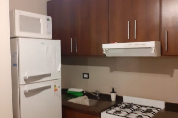 DEPARTAMENTO CENTRICO PARA 5 CON PILETA