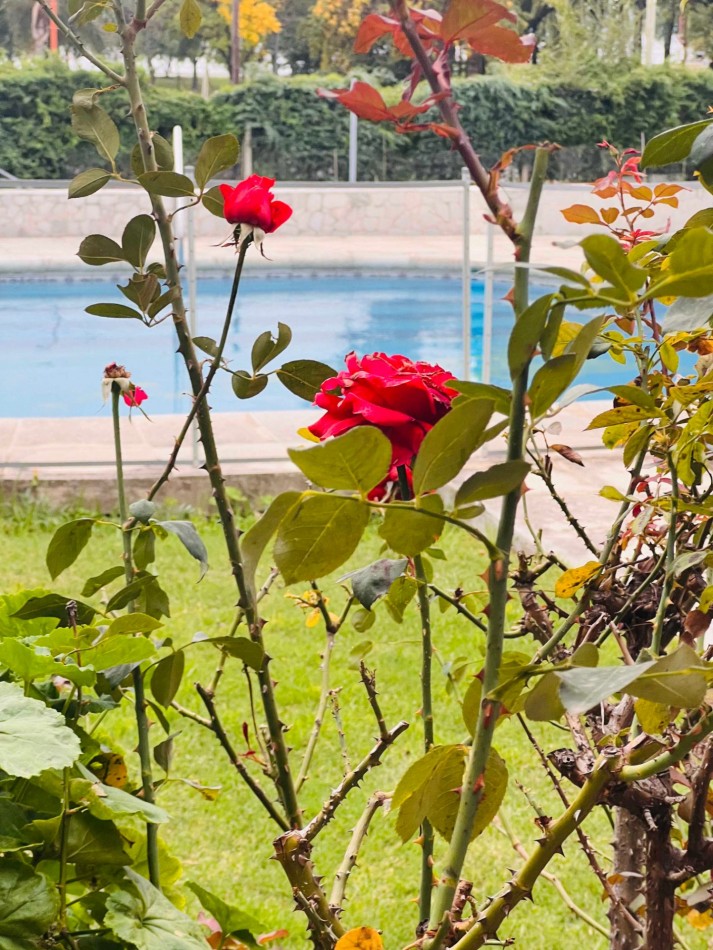 DEPARTAMENTO PARA 5 PERSONAS - PILETA-COCHERA-QUINCHO-PARQUE FRENTE AL LAGO