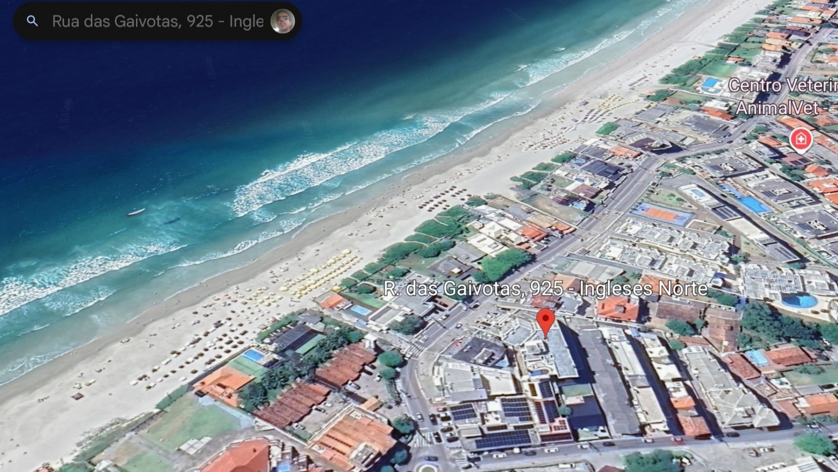DEPARTAMENTO PARA 4 - FRENTE AL MAR - PISCINA - INGLESES NORTE