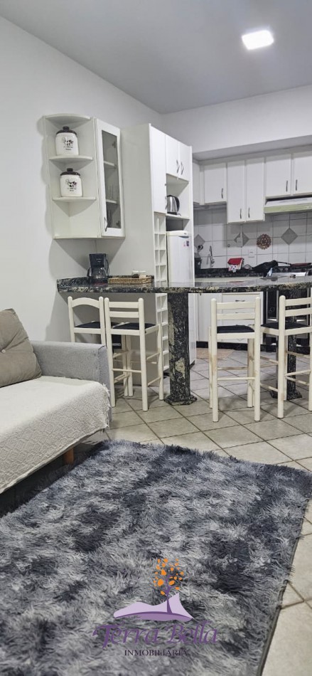 DEPARTAMENTO PARA 4 PERSONAS - INGLESES NORTE